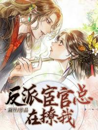 葵花宝典电视剧
