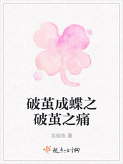 繁花直播二维码