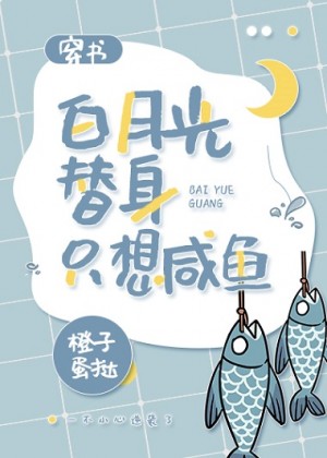 爱青岛 视频高清在线观看