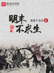 激战2野外传护外观