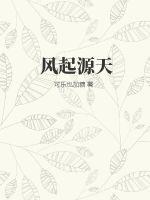 精品国产v