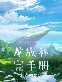 梦旅人