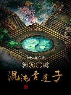 五张牌游戏