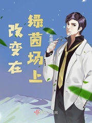 飞刀又见飞刀免费全集