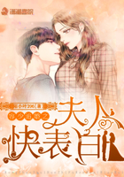 av小说免费