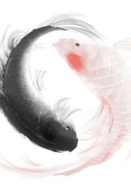 风流护士全文阅读