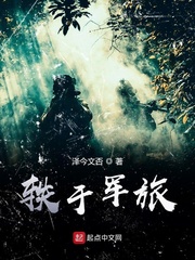 母之爱情1目录章节