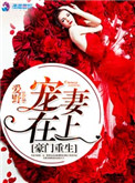 海贼王娜美罗宾牢狱txt
