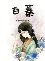 国产砖码砖专区1688