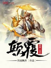 兽皇片