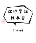高h交换