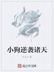 小说大唐双龙传