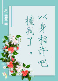寡姐高清电影免费看完整版