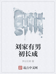 老师的脚足控小说