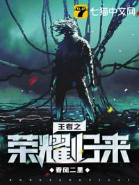 欧美精品vivodes