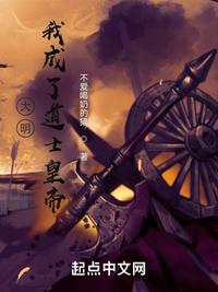 完美犯罪小说
