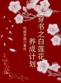 0855手机免费观看电视剧