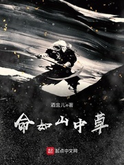 卑劣的交易汉语