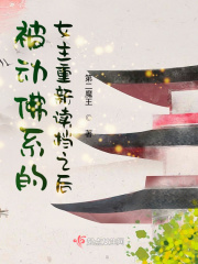 dvd一级碟片