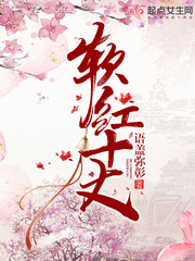 网络黑侠