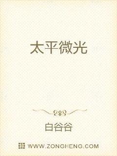 蓝天航空公司的外篇