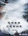 一代兵王叶天凌txt下载