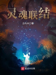 后宫种马爽文玄幻小说