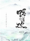 xl司带翻译无马赛
