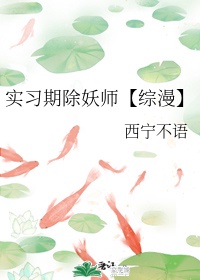 武林风方便