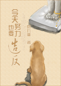 唐楚楚江辰最新全文免费阅读小说
