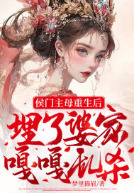 电视剧伪装者