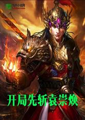巡回检察组共多少集