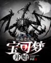 蕾丝视屏