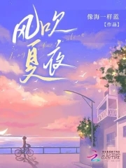 宅男视频app下载安装站