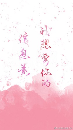 综影视肉女主h