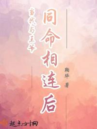 特级网