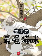 上海传奇