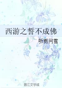 安装爽爽播放器