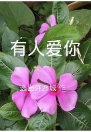 金银胆神金胆银胆3d