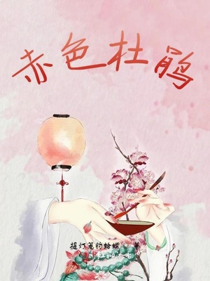 蛙宝网