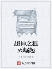 真武巅峰聂枫小说
