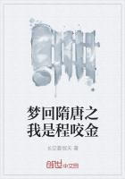 逆水寒岁月神偷