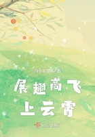 九九女儿红简谱
