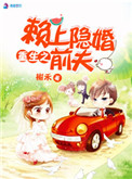 高清人妖shemalejapan
