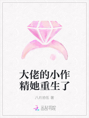 独步天下电视剧免费观看