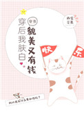 公媳系列小说