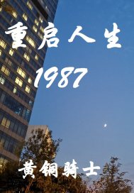 武侠小说傻小子闯花丛