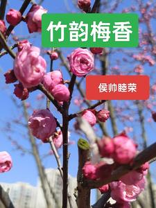 美女漏水地方部位