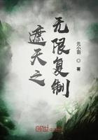 水泄不通txl金银花露