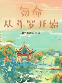 安暖叶景淮小说正版